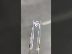 Lily cortó rosa CVD Diamante